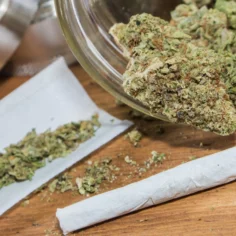 Image of a pre-roll and ground flower sitting atop a rolling paper in front of a jar of flower