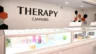 Interior image of a Therapy Cannabis store