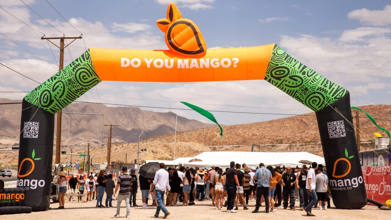 Image of the entrance to the Mango Del Sol festival