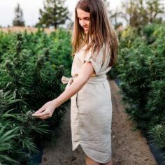 cbd hemp, Federal healthcare coverage for CBD is here. Hemp product standards are still needed.