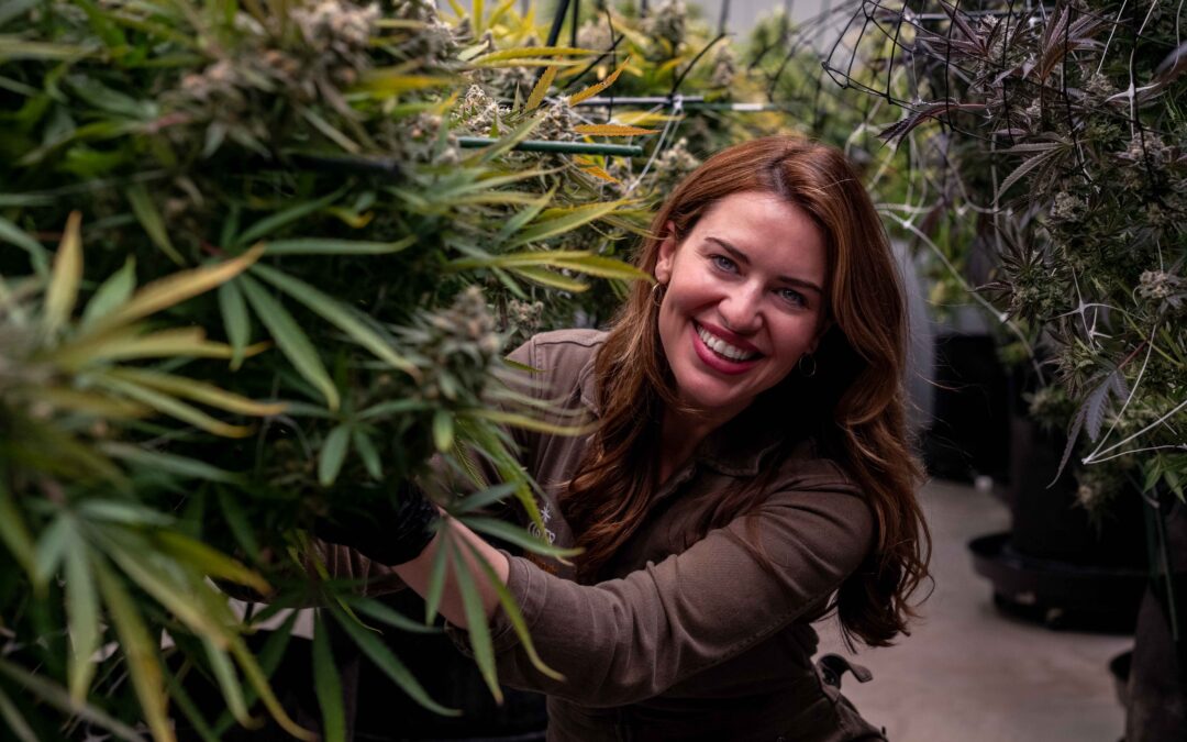 How small cannabis operators are preparing for interstate commerce