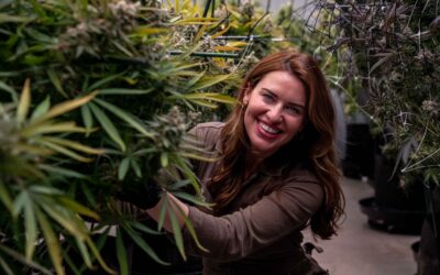 How small cannabis operators are preparing for interstate commerce