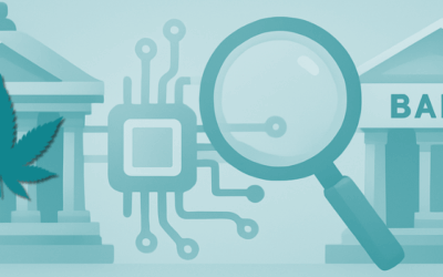 Banking on Clarity: Why Regulatory Transparency Matters for Access to Financial Services