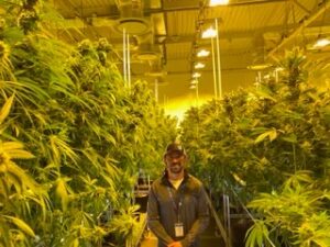 Missouri cannabis, How a beer scion entered the cannabis industry for the long haul