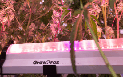 Why GrowPros Solutions Builds the Best Performing Under Canopy Lights in the Industry