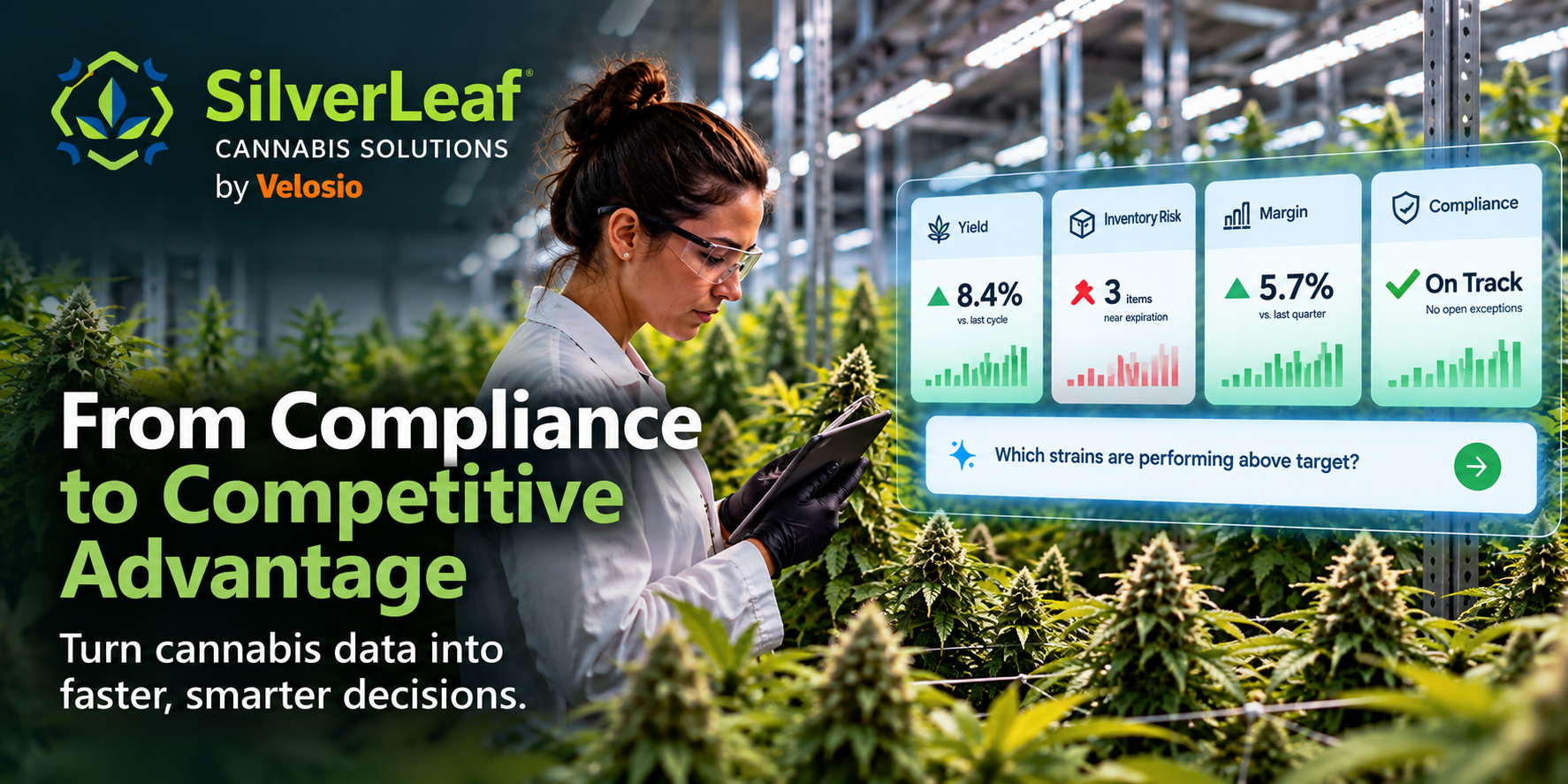 SilverLeaf Cannabis Analytics Banner